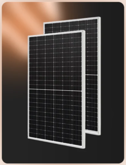 TOPCon Solar Module